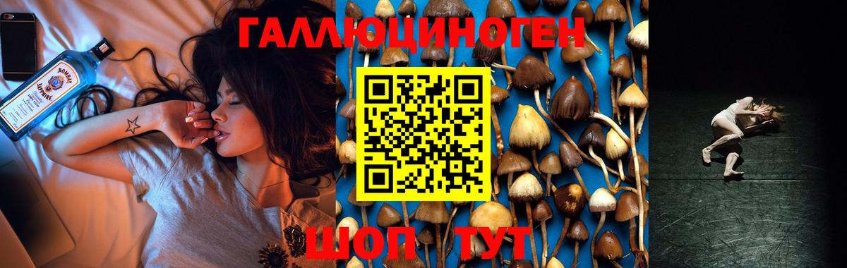 Галлюциногенные грибы Magic Shrooms  Вход с VPN  Клинцы 